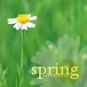 Весна 922039578